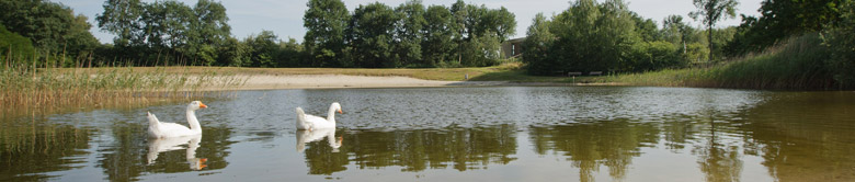 Verblijf op Landgoed de Lindenbergh